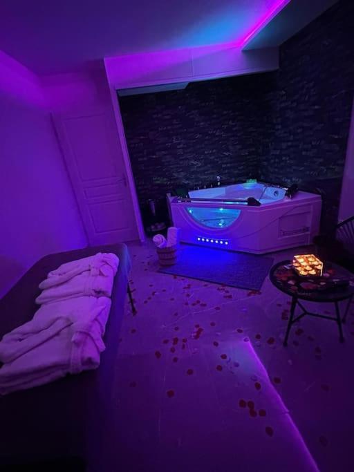 Apartament T3 5 Etoile Jacuzzi Tuluza Zewnętrze zdjęcie